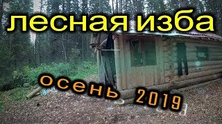 Видео Лесная изба.Осень 2019 (автор: ЛЕСНОЙ ЖИТЕЛЬ)