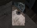 roomba e6 dies