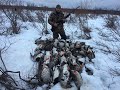 ОХОТА НА ГУСЯ Часть 2. Весенняя охота. Goose Hunting