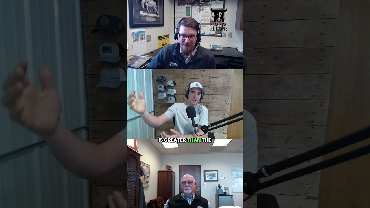 Episode 266  cutting inputs on 13,500 acres! #ranchmanagement #regenerativeagriculture #cattleranch