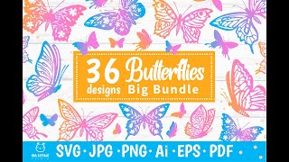 Butterflies SVG Bundle