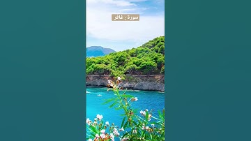 سورة : غافر للقارئ أحمد العبيد