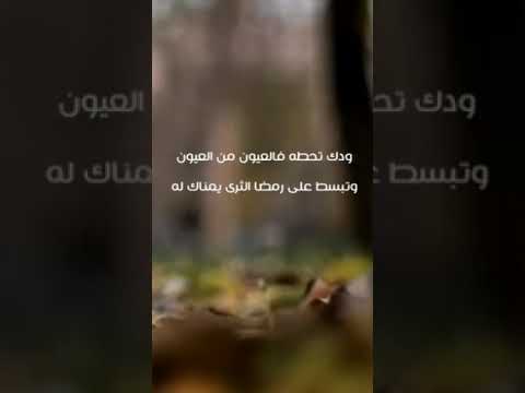 كيك وعسل لكن ماهو في صحون محمد بن فطيس