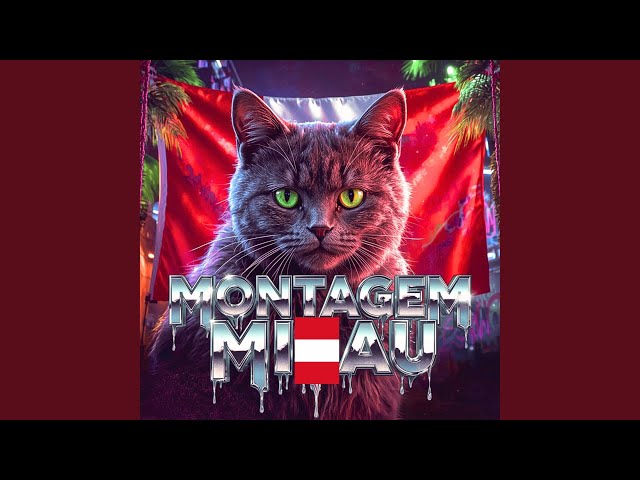 MONTAGEM MIAU SLOWED