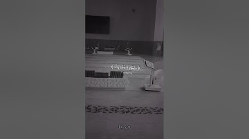 ياسر الدوسري - سورة الرحمن 🌿🤍|| #ياسر_الدوسري #القرآن_الكريم #حالات_واتساب #islam