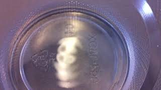 Quadrupole standing wave in a cup of water