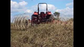 2010 hay season