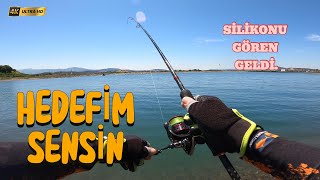 sea ​​bass fishing