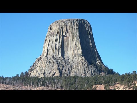 Video: ¿A qué altura crecen los árboles en las montañas?