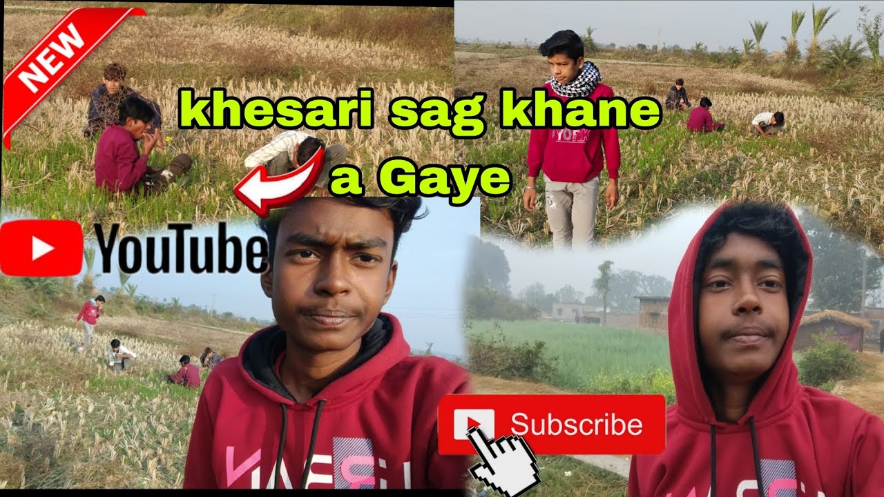 Aaj a gaye khesari Sag😍 khane ke liye