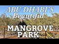 MANGROVE PARK AT AL JUBAIL ISLAND, ABU DHABI I FEBRUARY 2020