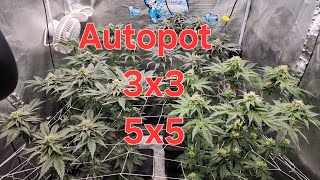 Autopot system