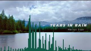 Tears in Rain | Cinematic & Epic Instrumental Music | Marius Sipa screenshot 2