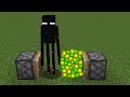 enderman + xp = ???