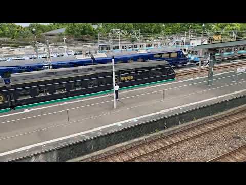 伊豆急黒船電車　色違い