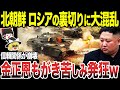 【ゆっくり解説】ロシアの支援を受けた北朝鮮だが実は裏切っていた!? 金正恩もがき苦しみ発狂
