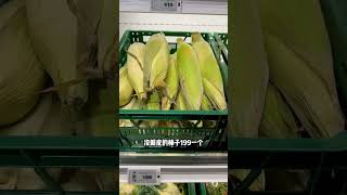 冰岛的物价，实在太贵了，还是咱们国内的物价合适！  #罐头瓶子在荷兰  #旅行推荐官  #旅行大玩家