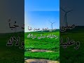 أنشودة بالروح فديناك