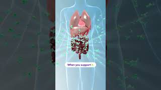 30-Day Gut Health Challenge for Weight Loss, Energy & Better Digestion