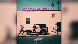 Video thumbnail of "PUBLIC - Honey In The Summer (Instrumental)"