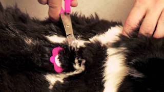 SCAREDY CUT ® home pet grooming kit demonstration Update