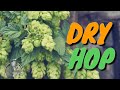 DRY HOP para potenciar el aroma de tus Cervezas Artesanales | La Birra Nostra