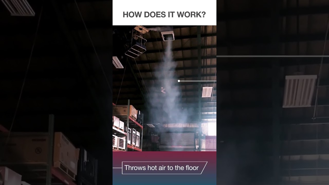 Reznor Huracan Short