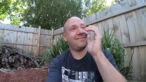 This Old Garden - Bonus Content - Stubborn Ella