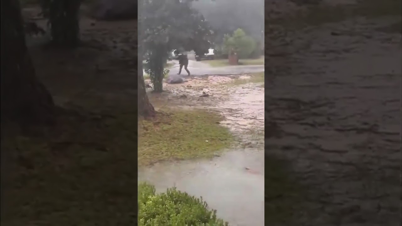 Random Memes From The Internet Ep. 112