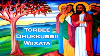 #Torbee #Dukkubbii #Guyyaa #Wiixataa B/saa D/n Bahaaruu nugusee