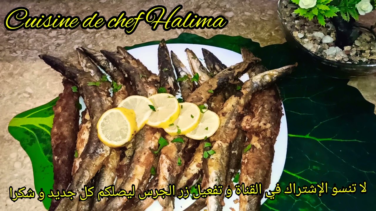 سمك البروشي 🐬مقلي 😋 بتتبيلة رائعة👌سهلة وبسيطة 👌👍