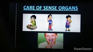 Ecpss class-1 science (cleanliness) part-1