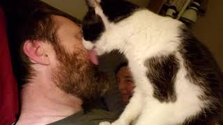 Human Grooming by Cat