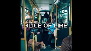 The Reytons - Slice of Lime - Lyrics