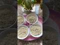 Jolpan | doi sira |Assamese bihu special | #shortsvideo #explorepage #viral #assamese #trending #fyp
