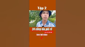 24 công lúa, cách QLN1 chỉ 100m #ivantung #datluagiare #bandatlua #thinhhanh