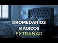 Dromedarios Mágicos - Extrañar (Video Oficial)