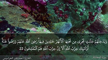 الصفحة 545 سورتيّ المجادلة والحشر بصوت القارئ المهندس أحمد فايز الحراسيس