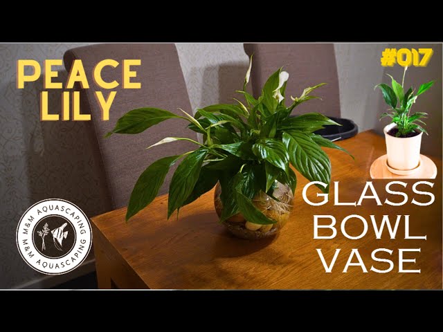 3 inch succulent pots Balsacircle 3 Green Assorted 3" Artificial Faux Small Succulent Plants Pots Home Wedding