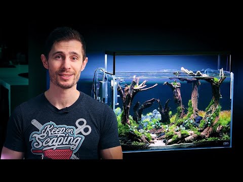 Video: Hvorfor Blir Vannet Grønt I Et Akvarium?