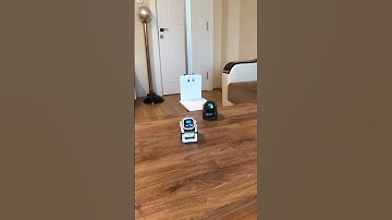 vector vs cozmo robot 🥰#vector #cozmo #robot