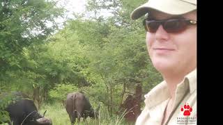 Wild Chat: Together Apart - 20 years of extreme nature continued
