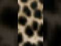 ما هو 4K؟ وما هي البكسلات؟