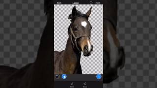 How To Cut Out an Image & Remove/Delete a Background using LightX: Important LightX Tips screenshot 5