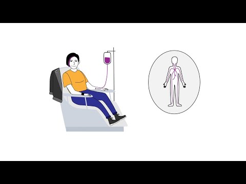 Vidéo: Comprendre La Chimiothérapie Métronomique Pour Les Animaux Atteints De Cancer