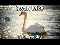 Capture de la vidéo The Poignant Ending Of Tchaikovsky's Swan Lake | Relaxing Music