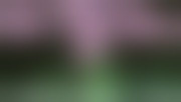 〔010〕映画『徳川セックス禁止令  色情大名』紹介