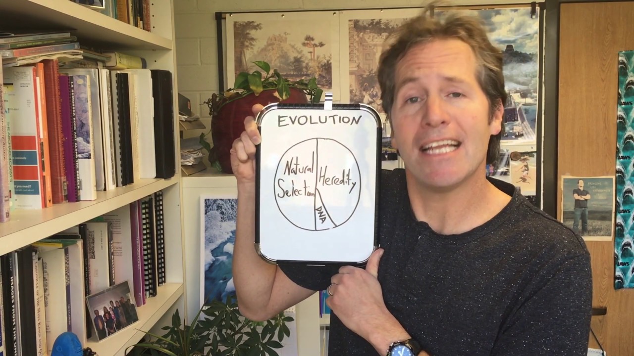 The Evolution Pie Chart - YouTube