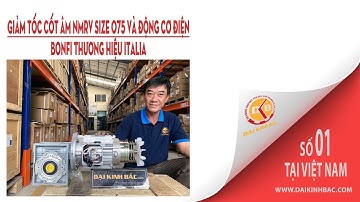 Động Cơ Giảm Tốc Cốt Âm NMRV Có Thắng Từ | NMRV Size 075 | Đại Kinh Bắc