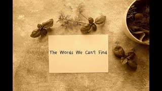 Maria Daines ~ The Words We Can't Find